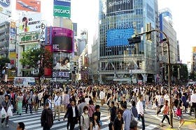 インバウンド人気体験・ツアー27位「TOKYO FREE GUIDE」の人気の理由・インバウンド対策とは