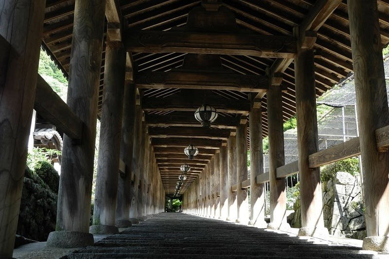インバウンド人気観光スポットランキング26位「長谷寺」の人気の理由・インバウンド対策とは