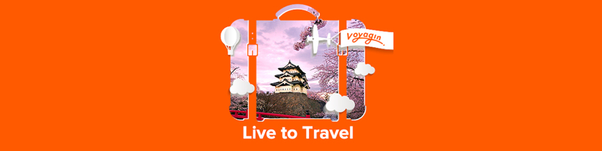 Voyagin