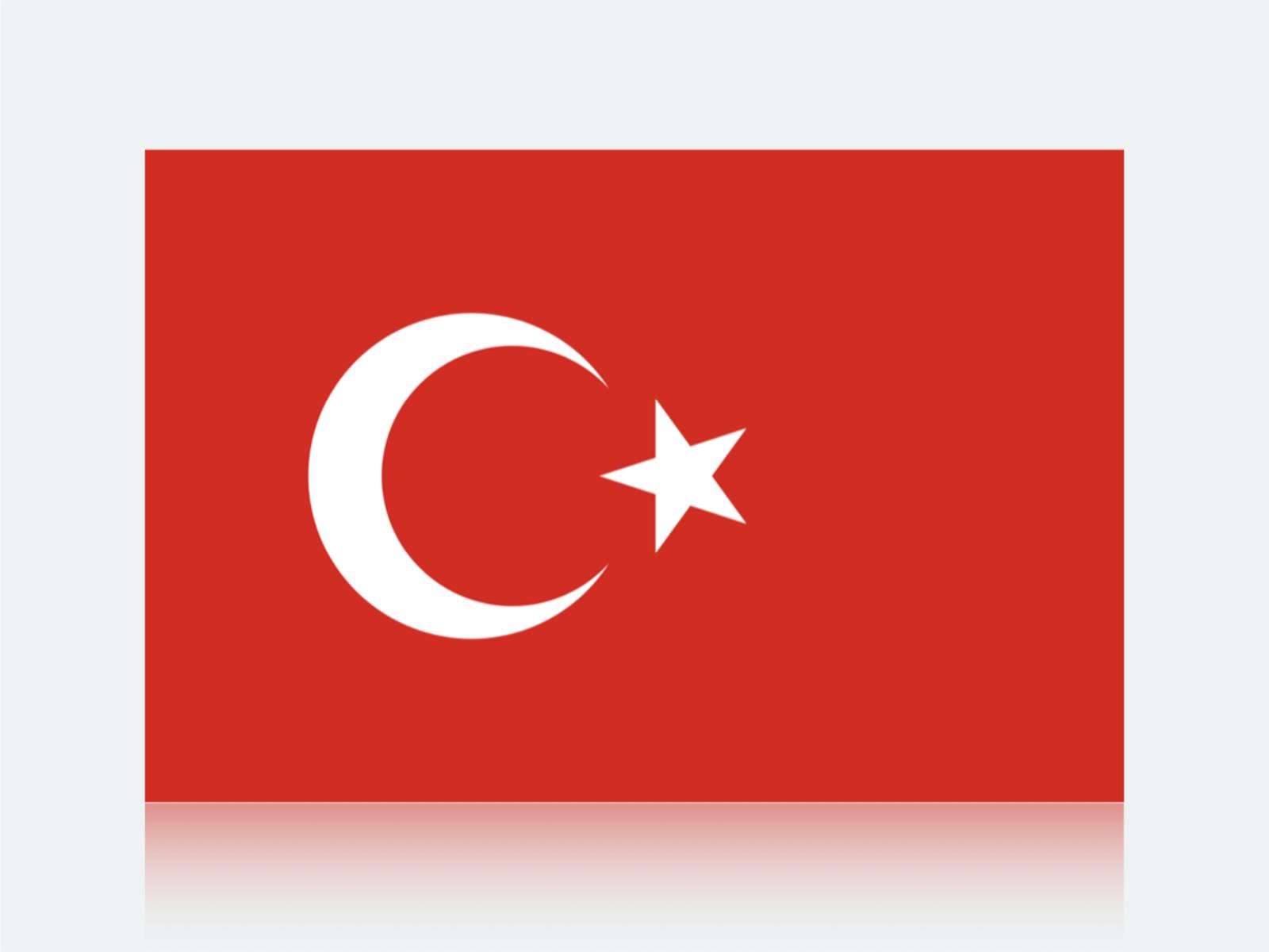 訪日トルコ人観光客のインバウンドデータ