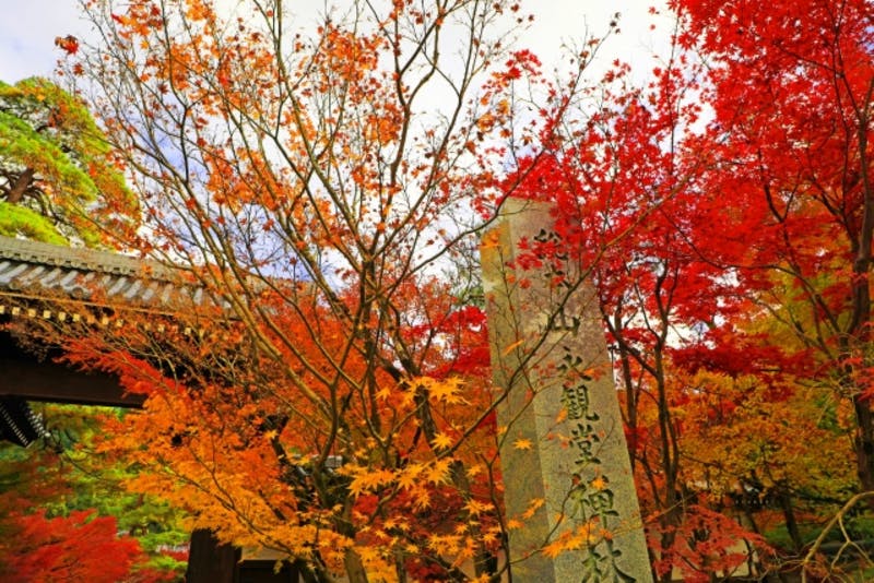 海外からも注目 日本の紅葉の魅力とは 外国人からの人気も集まる京都の東福寺 永観堂も紹介 訪日ラボ