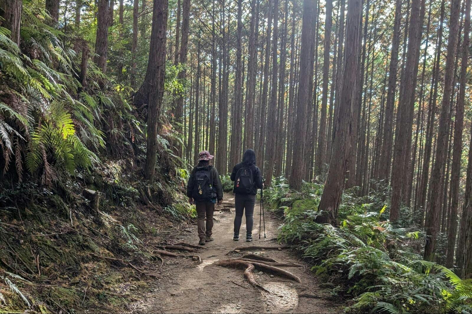 ▲シンガポールの富裕層向け旅行会社を招へいしたファムトリップの一場面。このようなハイキングを行程に入れることは珍しくない