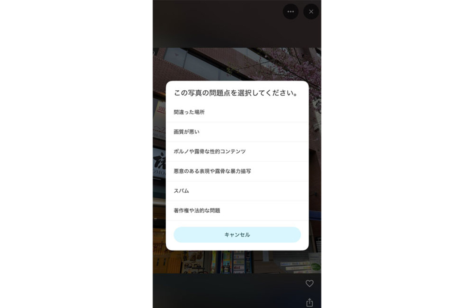 ▲Googleビジネスプロフィール管理画面のユーザー写真報告:編集部スクリーンショット Googleビジネスプロフィール管理画面のユーザー写真報告