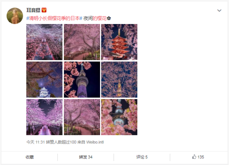 ▲日本らしい夜桜の光景 ▲日本らしい夜桜の光景