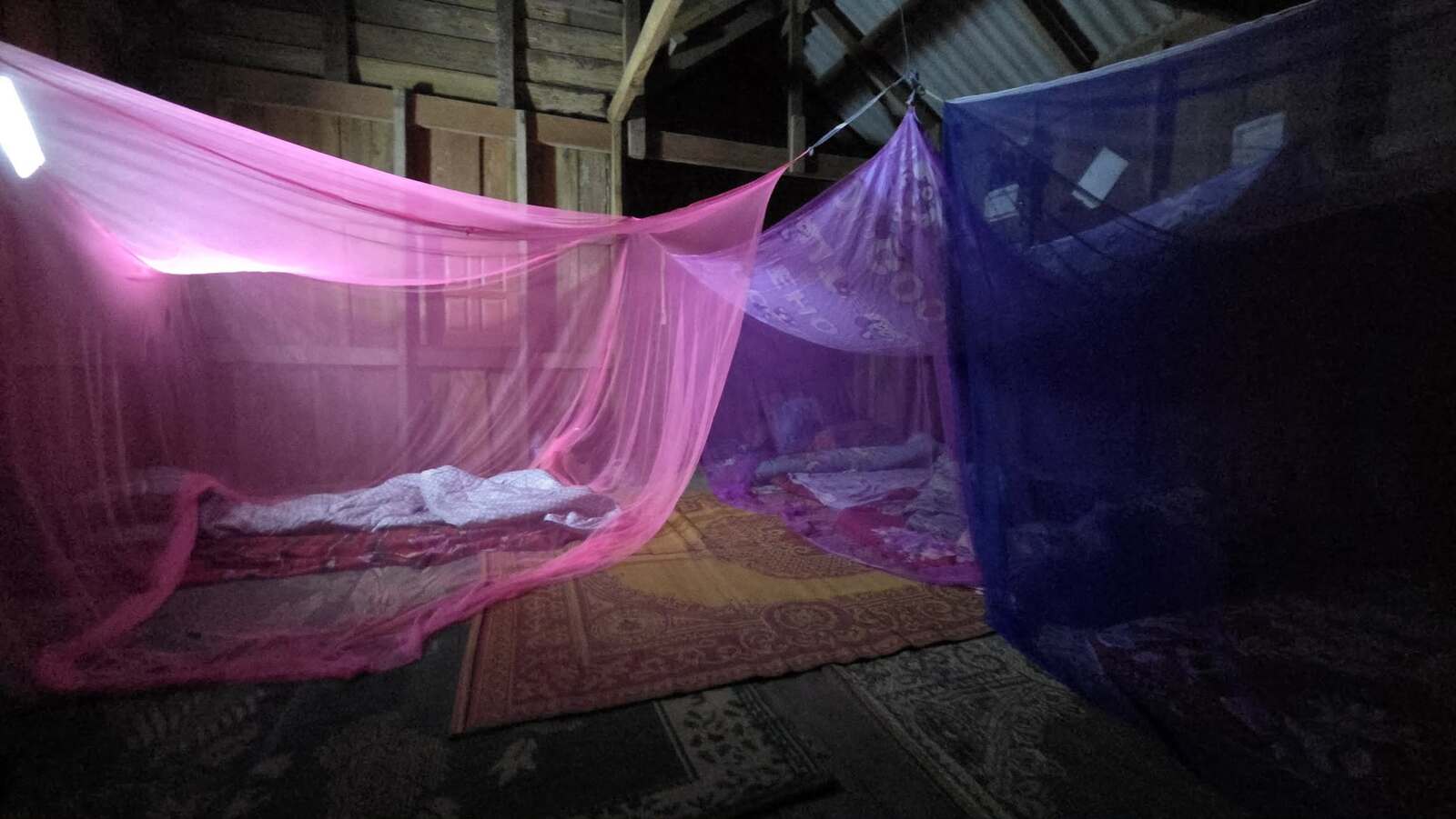 ▲現地の様子 ▲現地の様子