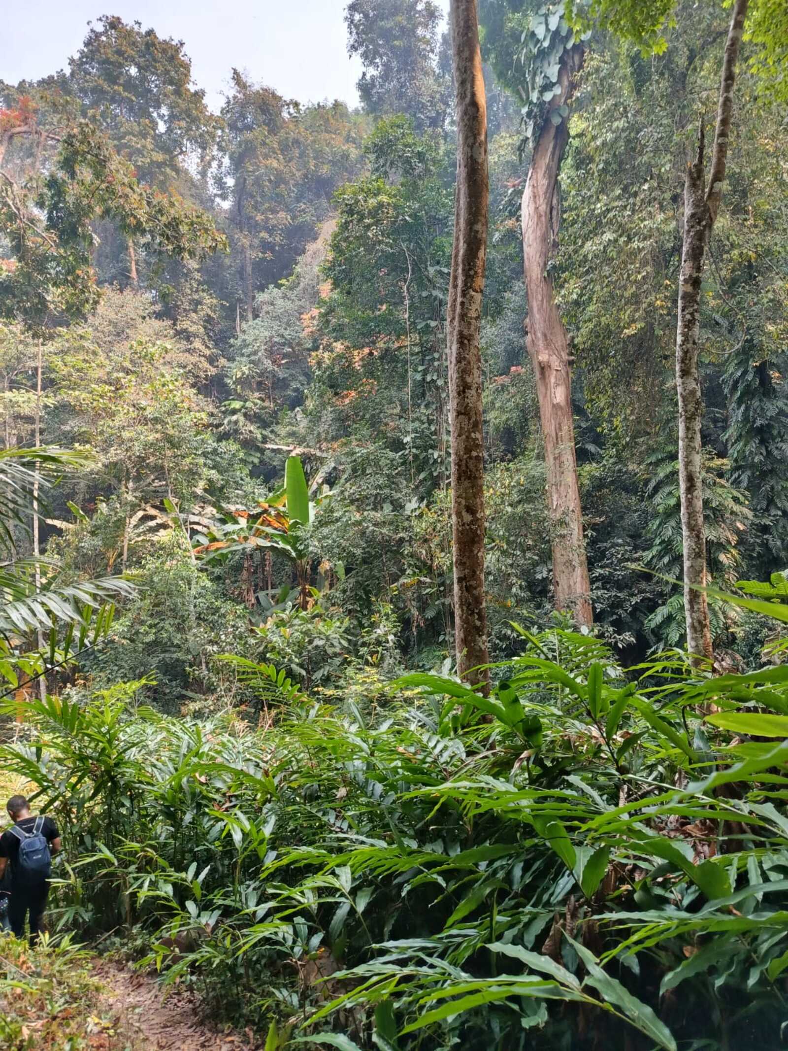 ▲現地の様子 ▲現地の様子