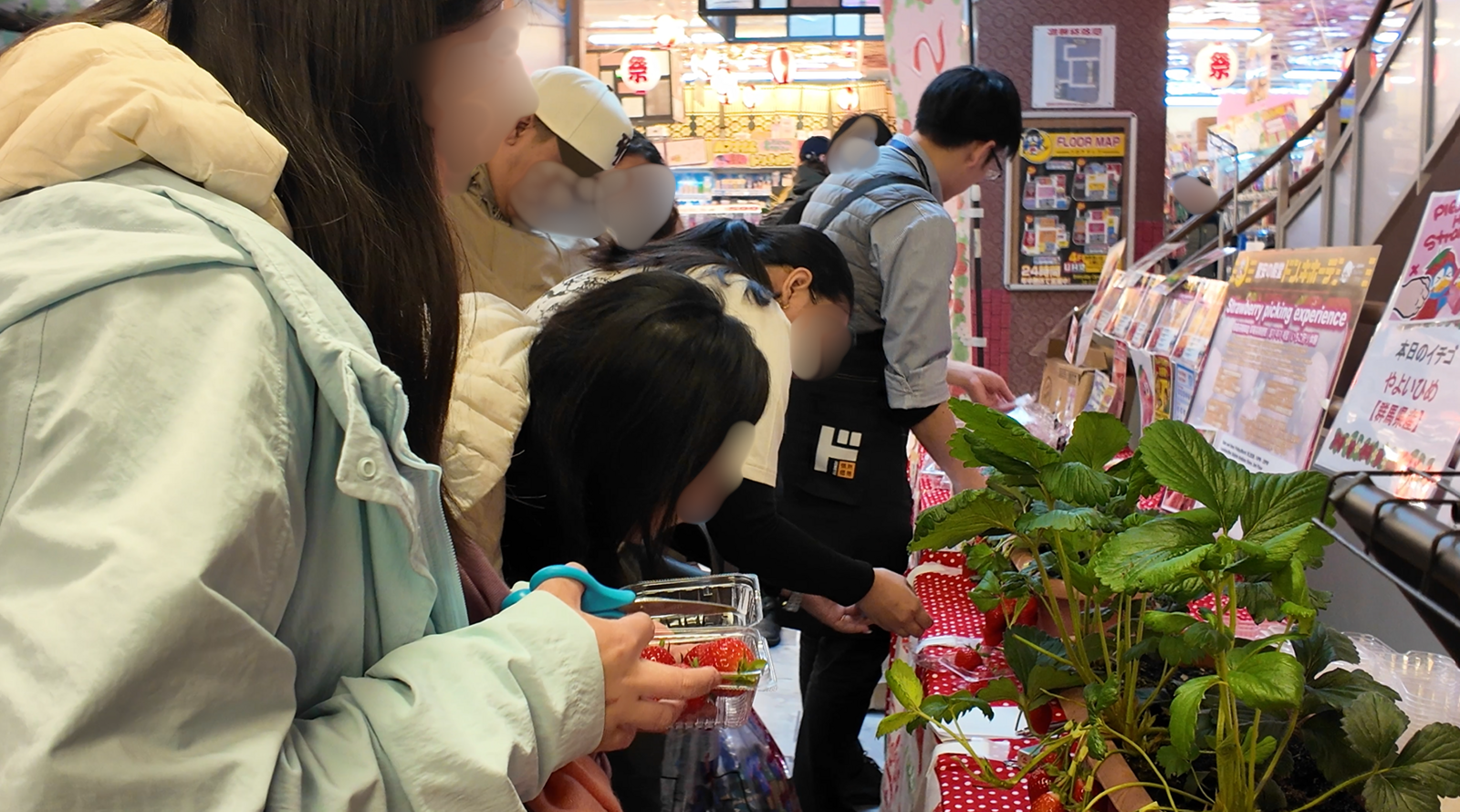 ▲浅草店のイチゴ狩り体験イベントの様子:株式会社PPIH提供 ▲浅草店のイチゴ狩り体験イベントの様子:株式会社PPIH提供
