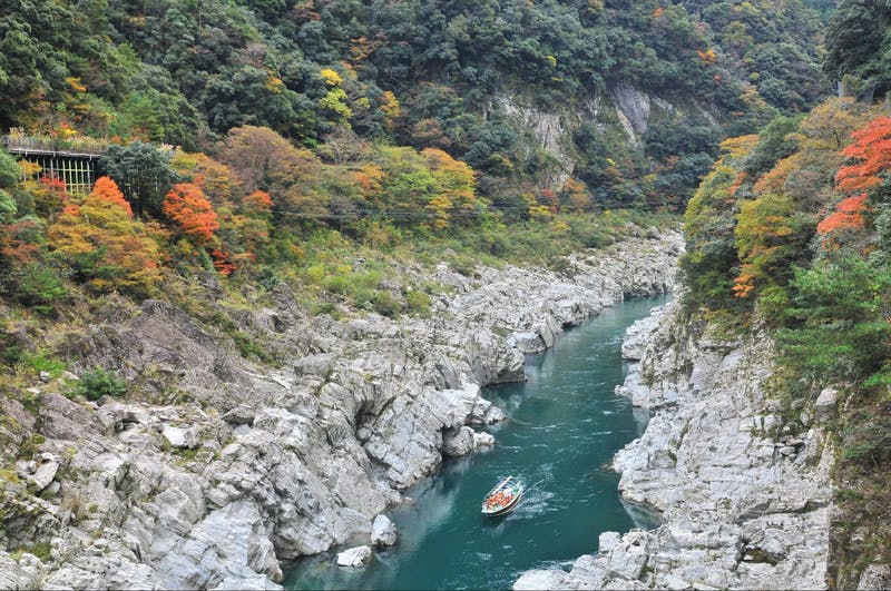 ▲大歩危峡の川下り