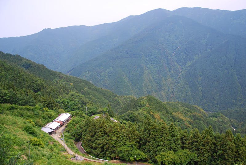 ▲傾斜地のまま耕す農法が継承されて