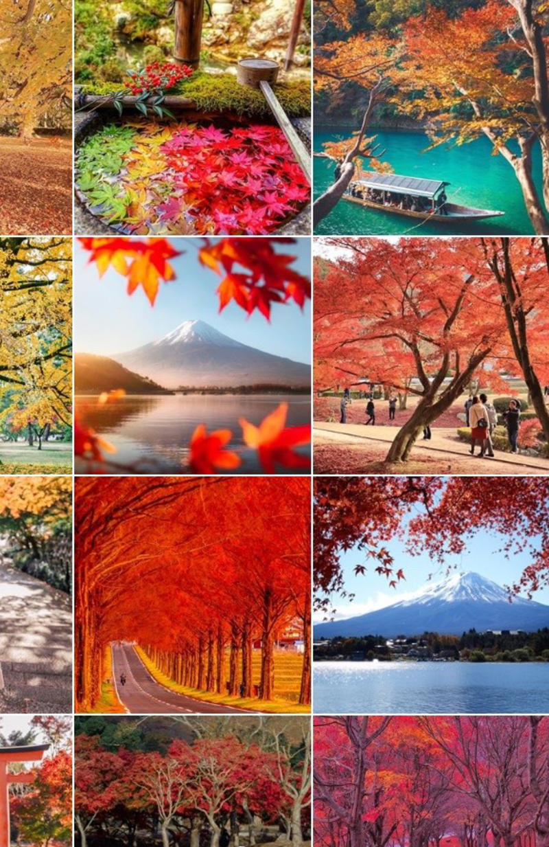 紅葉 国広作品 日本の紅葉の魅力と他国との違い - Genspark