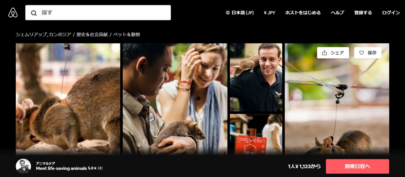 ▲[Meet life-saving animals]：Airbnb体験ページより