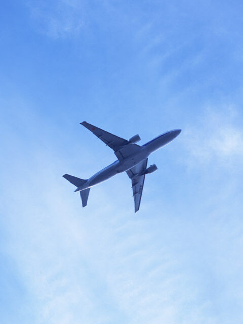 阪急交通社グループ 旅行概況（2月分）