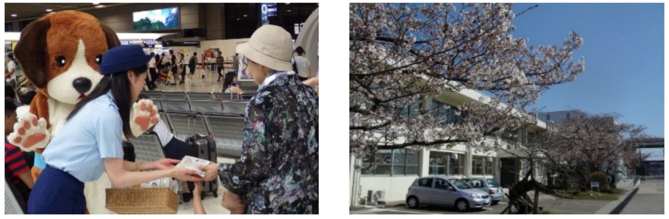 空港内広報/動物検疫所横浜本所