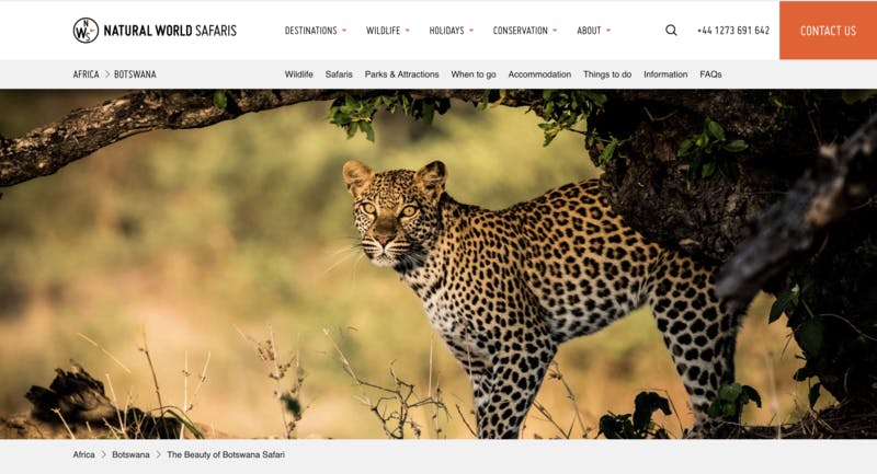 アフリカ・ボツワナ旅行プランの紹介ページ　Natural World Safaris公式サイトより