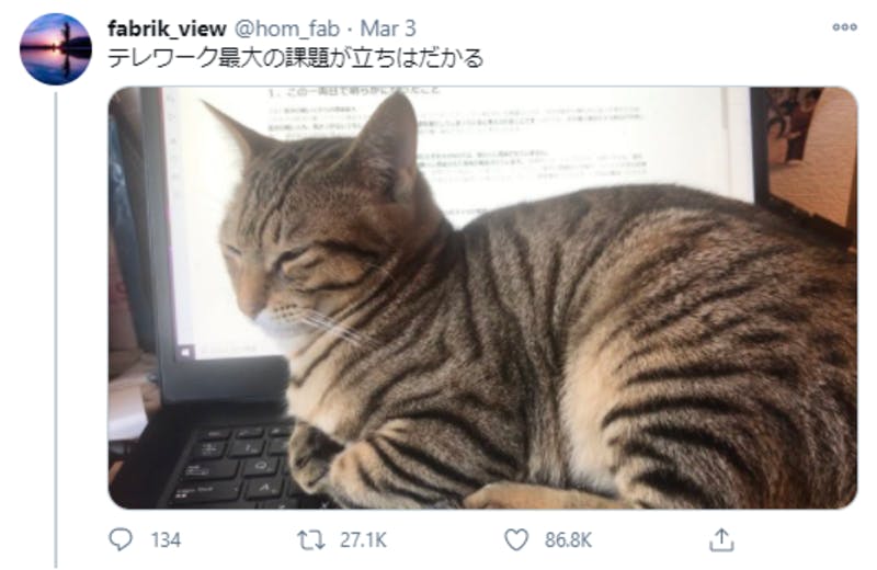 Twitterに投稿された、猫がパソコンの上に座っている写真
