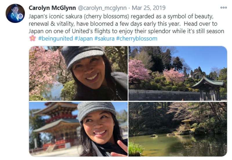 日本の桜に関する英語のTwitter投稿