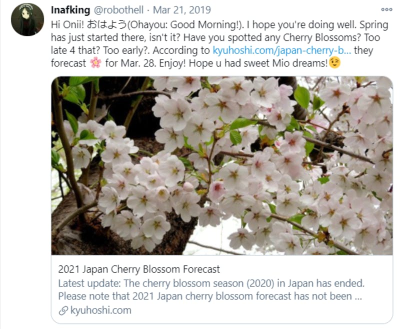 日本の桜に関する英語のTwitter投稿