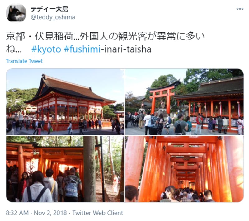 Twitterに投稿された、京都の訪日外国人観光客の多さについてのコメント