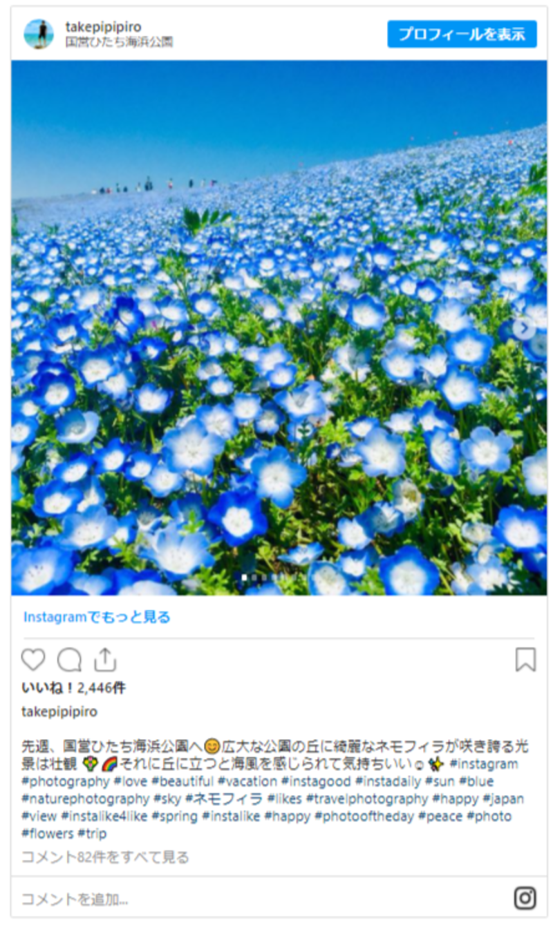 ▲ネモフィラのInstagram投稿:編集部スクリーンショット 一面に広がるひたち海浜公園のネモフィラ