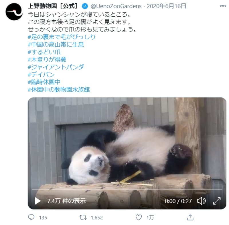 ジャイアントパンダ・シャンシャンの様子に関するTwitter投稿