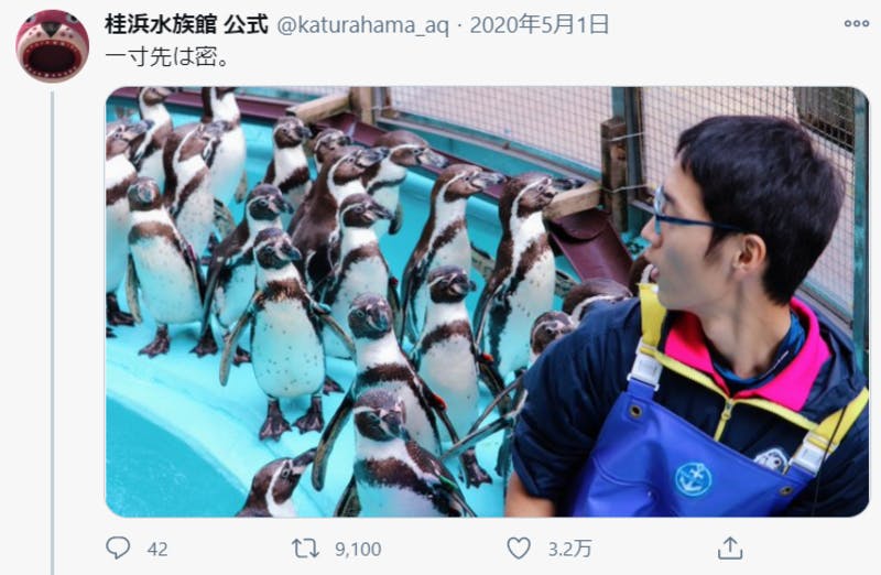 飼育員とペンギンの様子に関するTwitter投稿