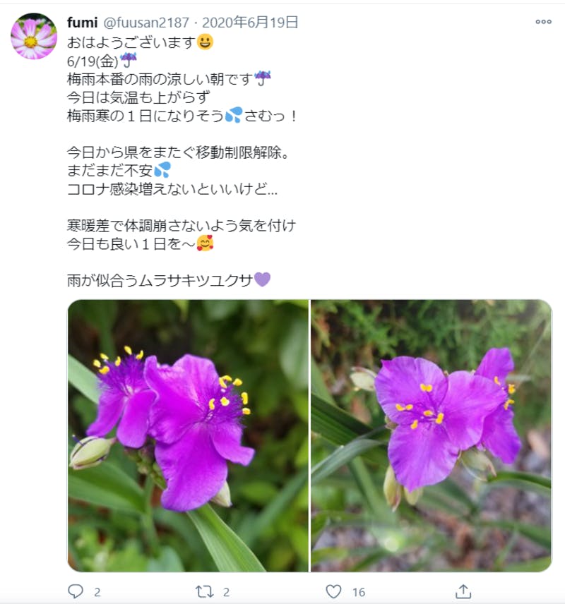 移動制限解除に関するTwitter投稿