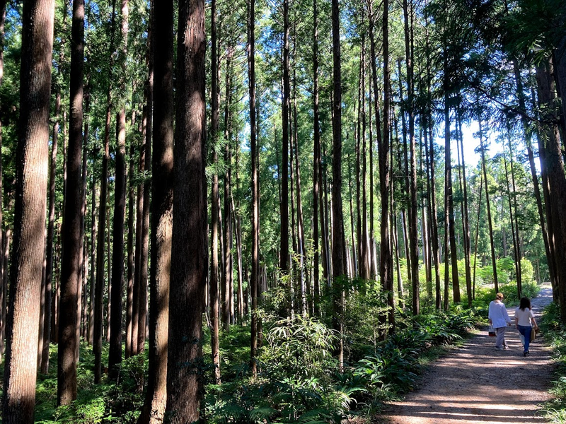 ▲熊野古道:訪日ラボ編集部撮影 熊野古道:訪日ラボ編集部撮影