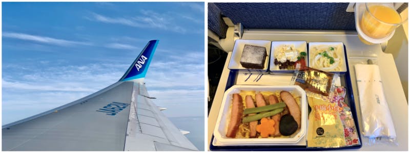 飛行機からの景色と、機内食