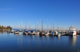 ブルーツーリズムとは？漁村中心のエコツーリズム、定義から実践のポイントまで解説