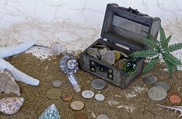 今年新たに「観光税」を導入する国・地域4選