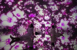 チームラボ 訪日外国人「来場者の6割」に、春は「桜」でさらに呼び込む