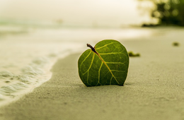 「サステナブルな観光地」日本が世界1位に、Agoda調査