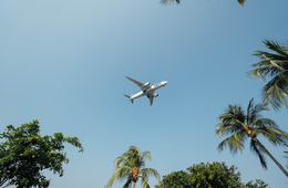 Googleフライト検索で人気の旅先ランキング、日本が1位に（2023年夏）