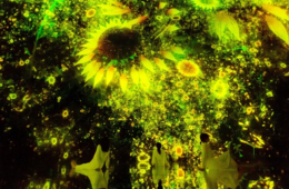 チームラボ豊洲、訪日外国人の「10人に1人」が来館！開館以来「過去最高」に