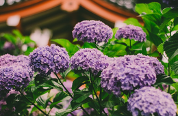 訪日客の消費額1兆円超、コロナ前「95.1%」まで回復　最多は台湾