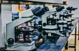 インバウンドにおける「教育・研究分野」の重要性と必要な施策とは？新時代のインバウンド拡大アクションプラン」から読み解く