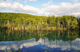 2023年「ベスト・ツーリズム・ビレッジ」 日本からは美瑛町・白川村など4地域選出（UNWTO）