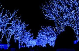 米メディア「この冬訪れるべきアジアの旅行先トップ5」に東京が選出