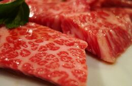 米メディア「料理がおいしい国ランキング」日本が2位に