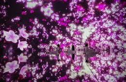 チームラボプラネッツ、3月から桜をテーマとしたアート展示を開催