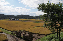 農林水産省「農泊インバウンド受入促進重点地域」28地域を選定　インバウンドの割合を約2.5％から10%まで引き上げへ