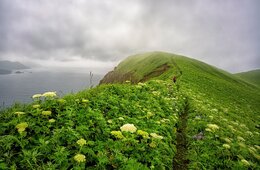 北海道内の「アドベンチャーツーリズム」経済効果、2030年に「1兆円超」