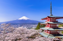 【北関東・甲信越編】シリーズ「観光振興計画を読む」第8弾　地域資源の活用と観光の高付加価値化を目指す各県の取り組みとは