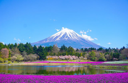 山梨県、富士山吉田ルートの通行予約システムを導入【5/20開始】