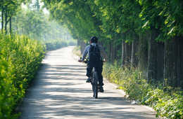 インバウンドのサイクリストに安心できる環境を　国内のサイクルルートを国際基準で評価