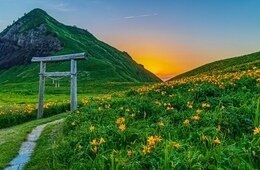 「佐渡島の金山」世界遺産登録が決定、その経済効果は？