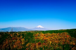 データで見る、日本の観光コンテンツの現状【世界的潮流を踏まえた魅力的な観光コンテンツ造成のための基礎調査事業 調査報告書 解説（2）】