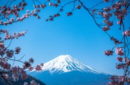 【欧米豪編】インバウンド市場の最新動向、今後の取り組みは？：JNTO「インバウンド旅行振興フォーラム」（1日目）