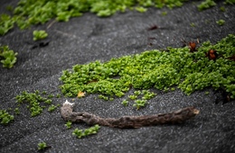 レジリエントな観光とは？その概要と取り組みについて解説