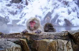 【温泉地のインバウンド対策】外国人の温泉に対する反応は？成功事例3選も紹介
